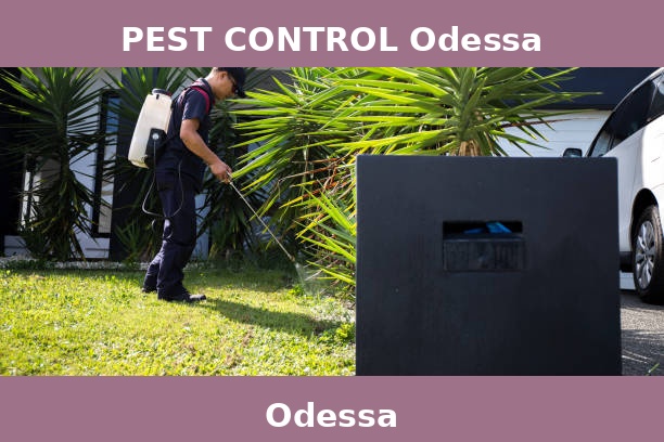 PEST CONTROL Odessa